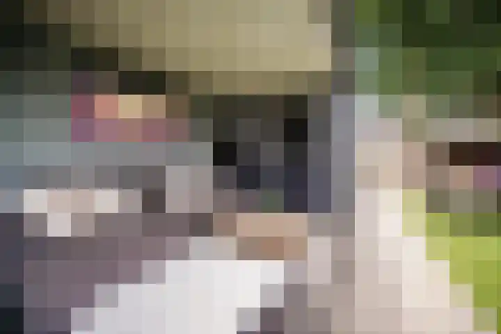 Vondelstraat 13 Putten thumbnail 22