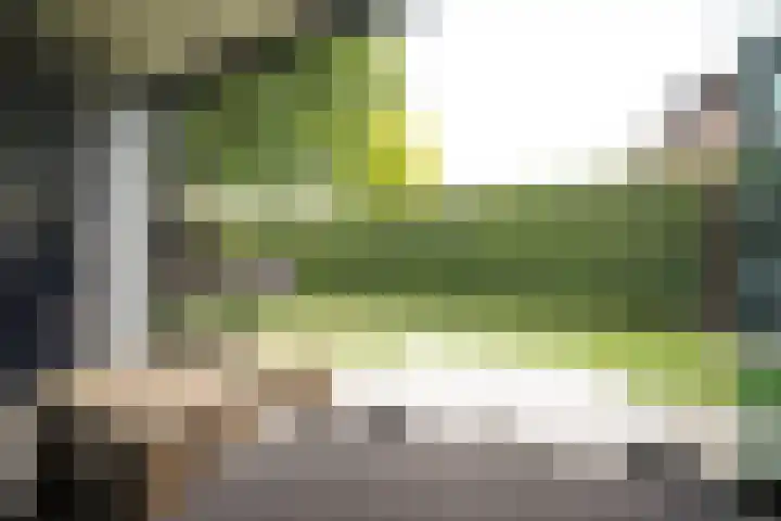 Vondelstraat 13 Putten thumbnail 24