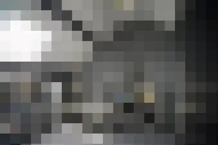 Vondelstraat 13 Putten thumbnail 37