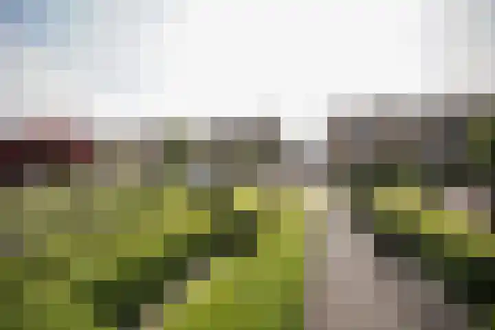 Vondelstraat 13 Putten thumbnail 4