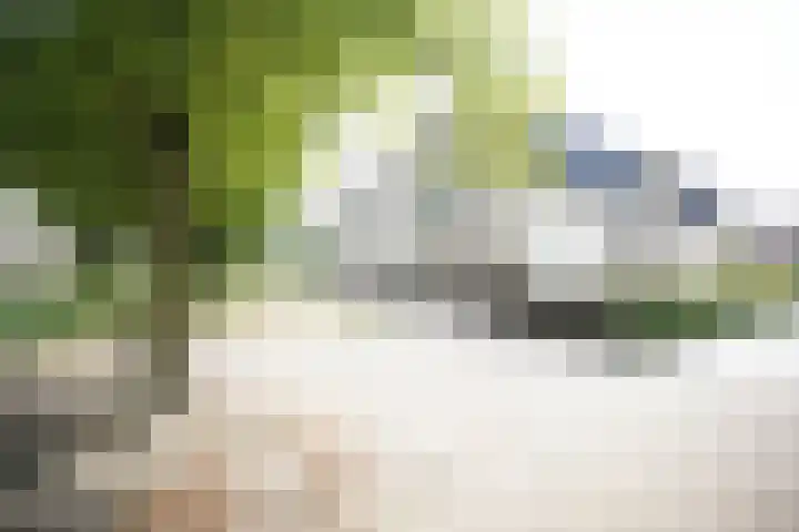 Vondelstraat 13 Putten thumbnail 41