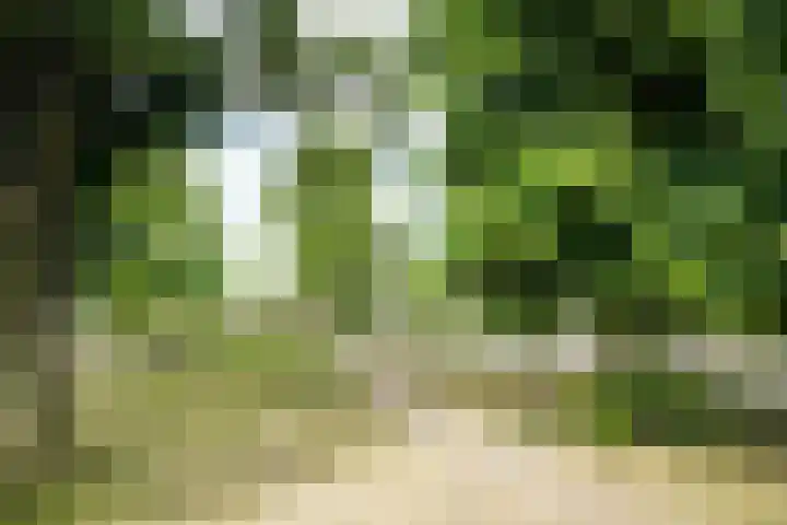 Vondelstraat 13 Putten thumbnail 43