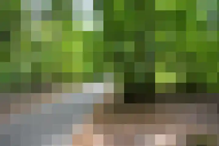Vondelstraat 13 Putten thumbnail 44
