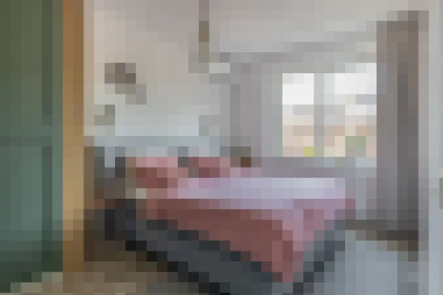 Vondelstraat 13 Veghel thumbnail 14