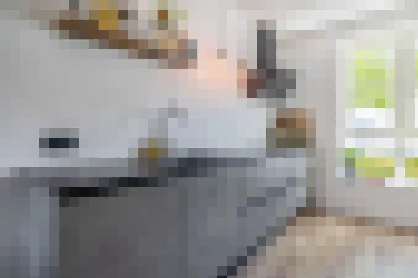 Vondelstraat 13 Veghel thumbnail 4