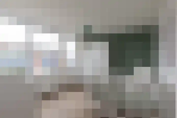 Vondelstraat 14 Aalten thumbnail 12