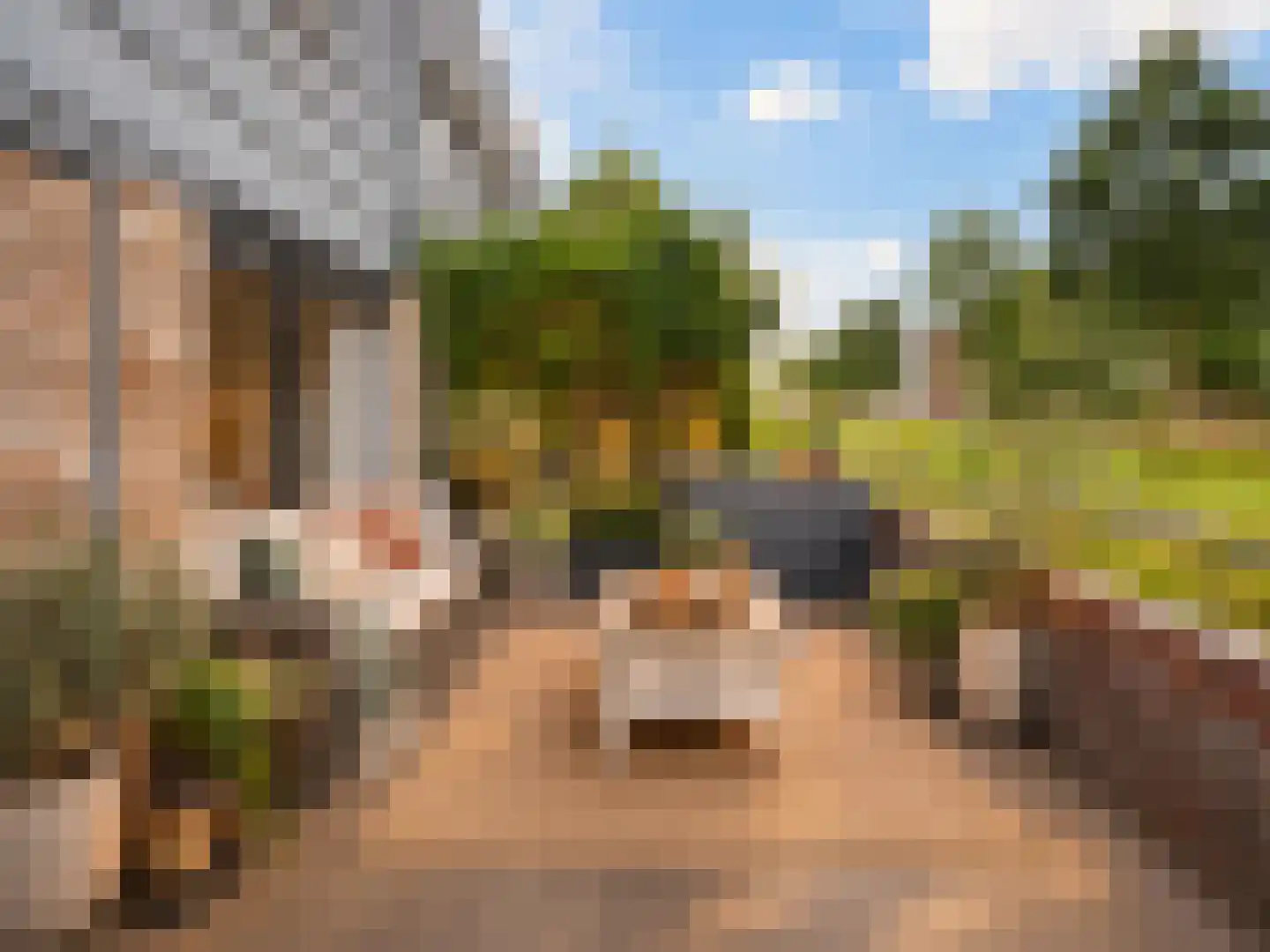 Vondelstraat 14 Bergschenhoek thumbnail 11