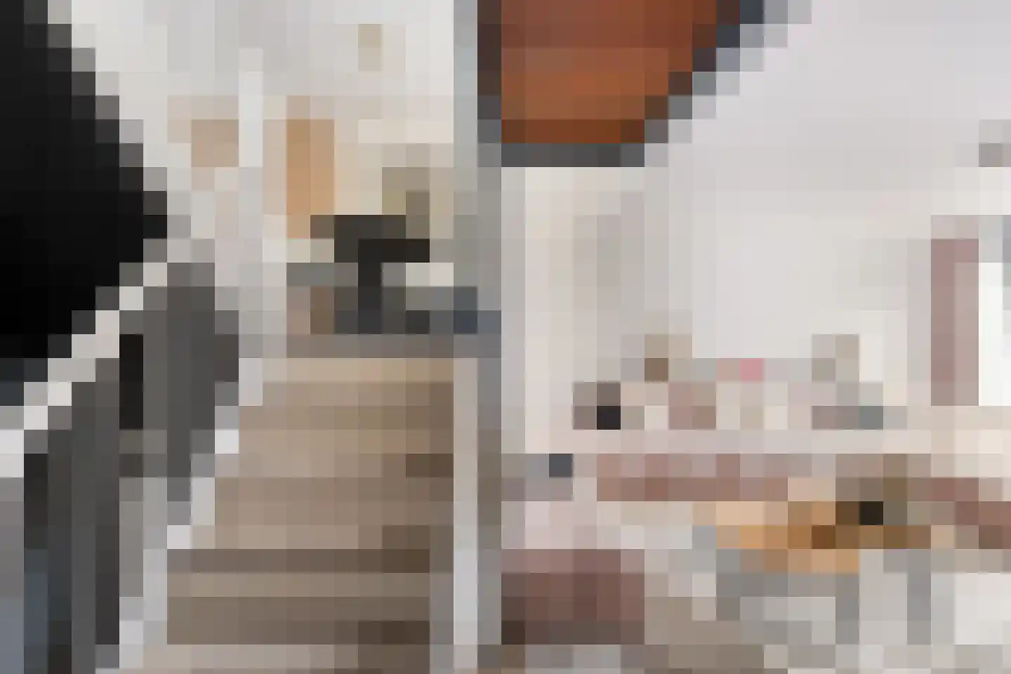 Vondelstraat 14 Bergschenhoek thumbnail 12