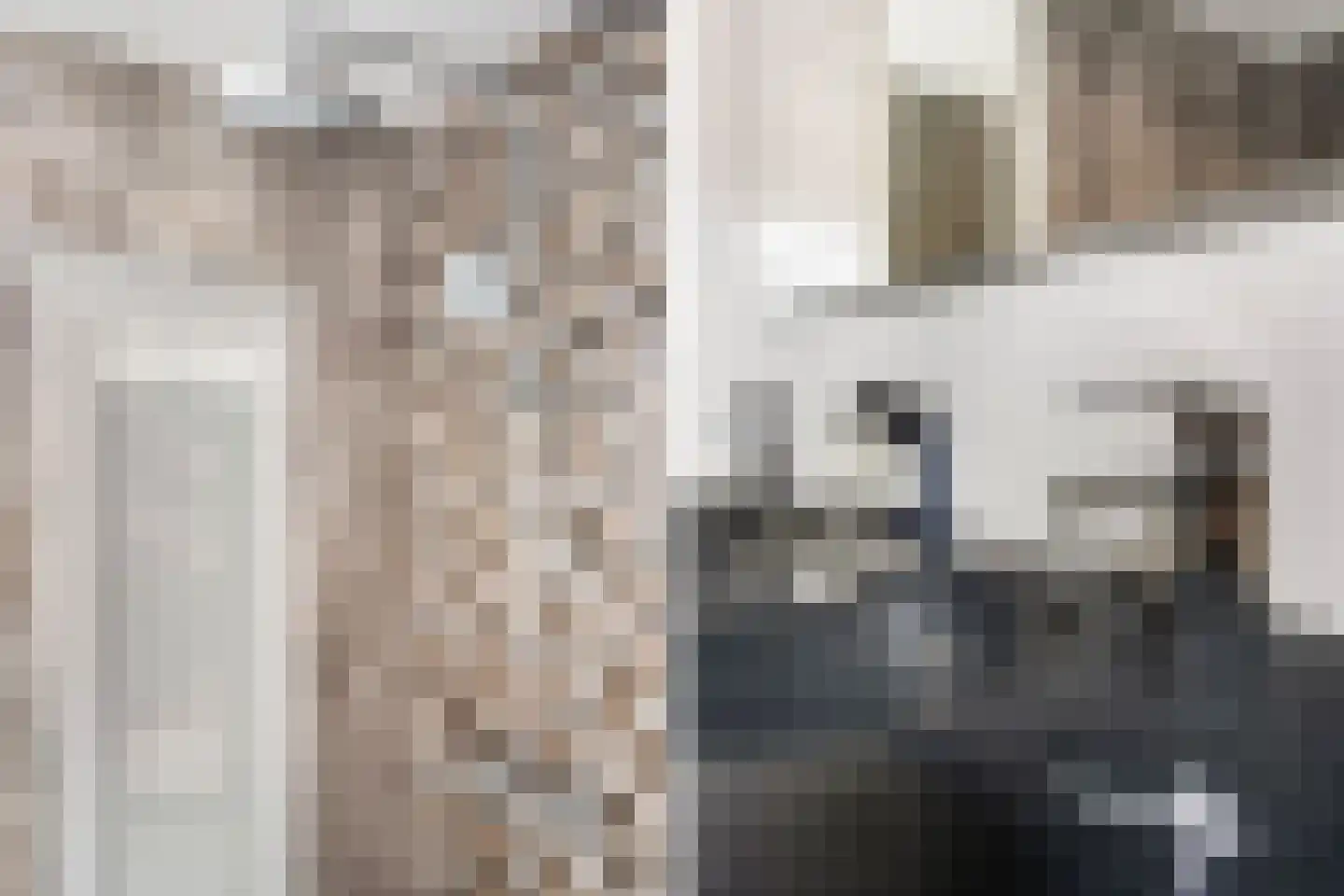 Vondelstraat 14 Bergschenhoek thumbnail 35