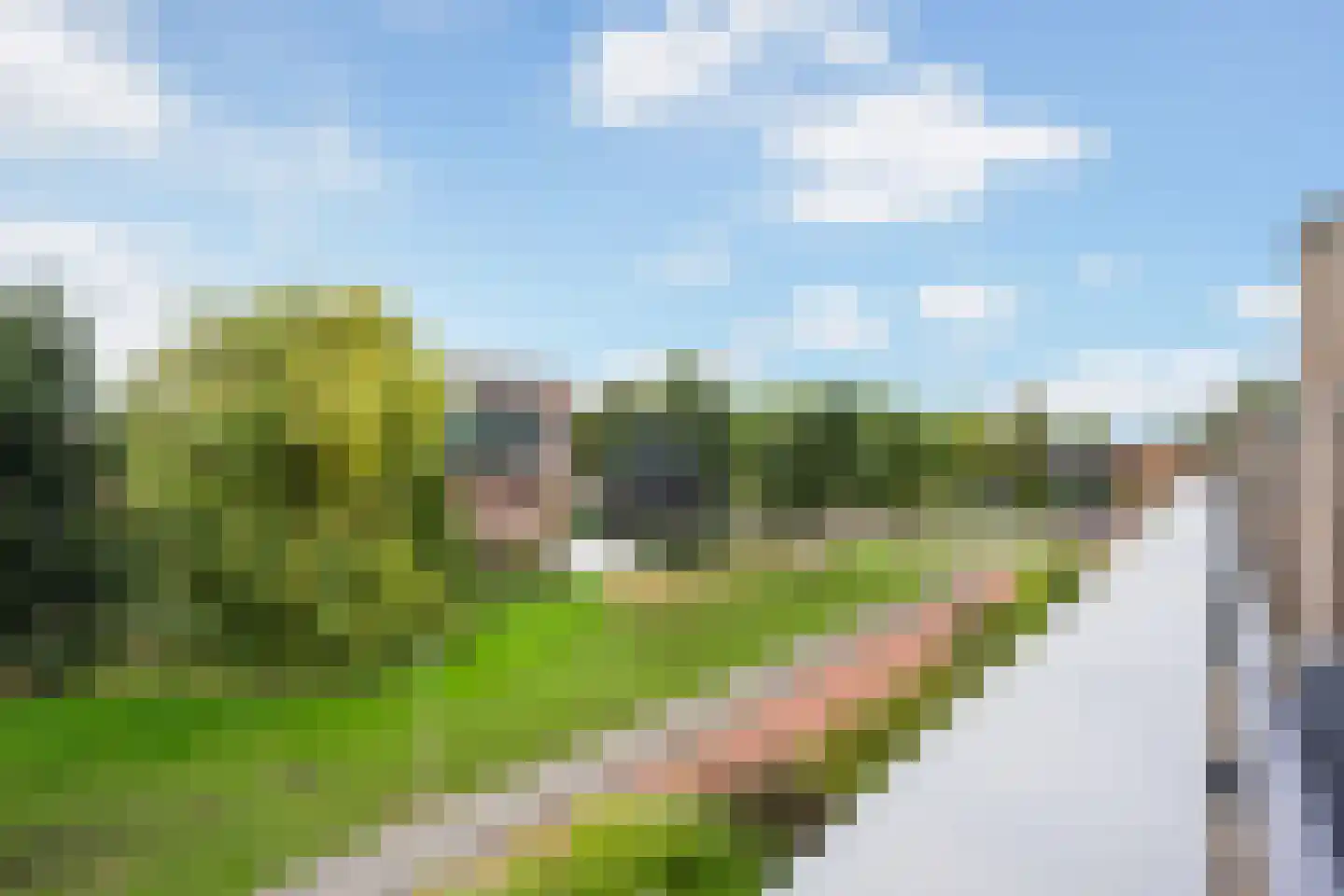 Vondelstraat 14 Bergschenhoek thumbnail 47