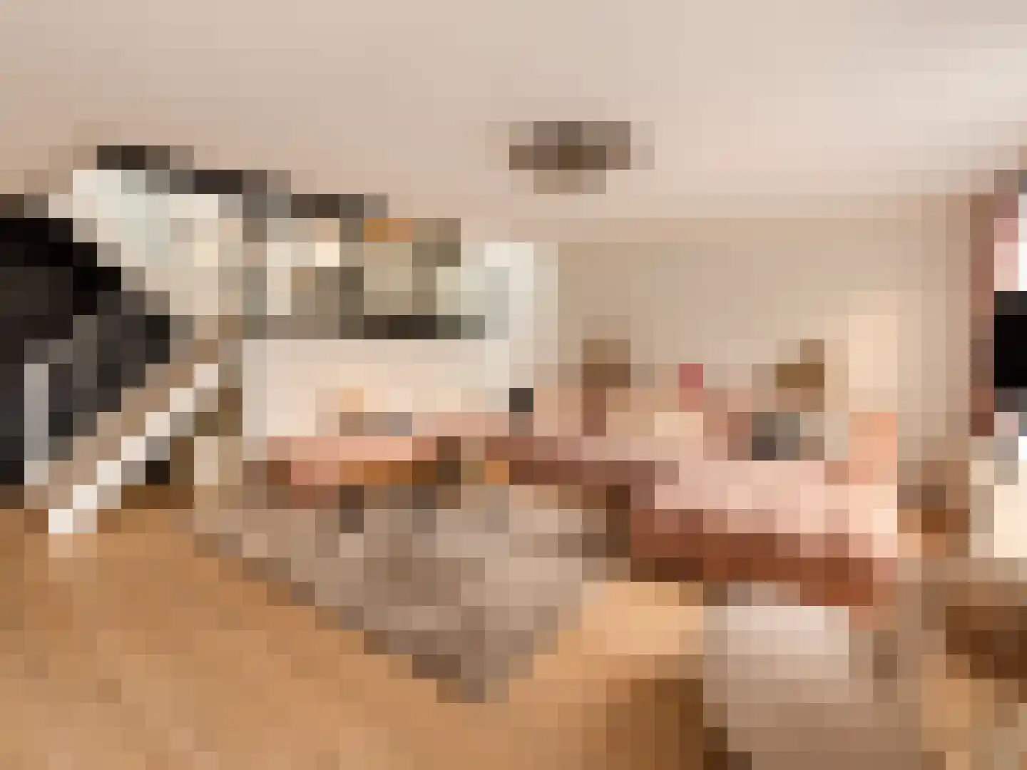 Vondelstraat 14 Bergschenhoek thumbnail 6