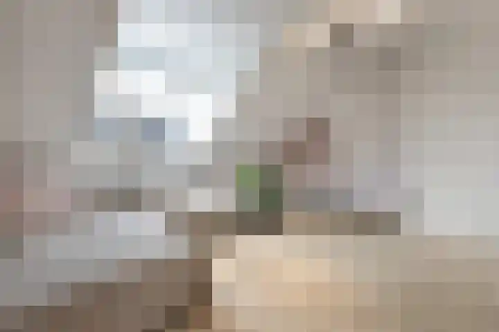 Vondelstraat 14 Breda thumbnail 40