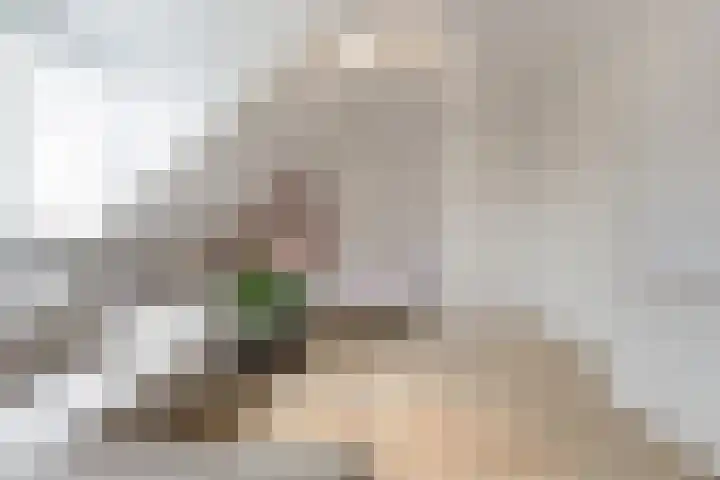 Vondelstraat 14 Breda thumbnail 41