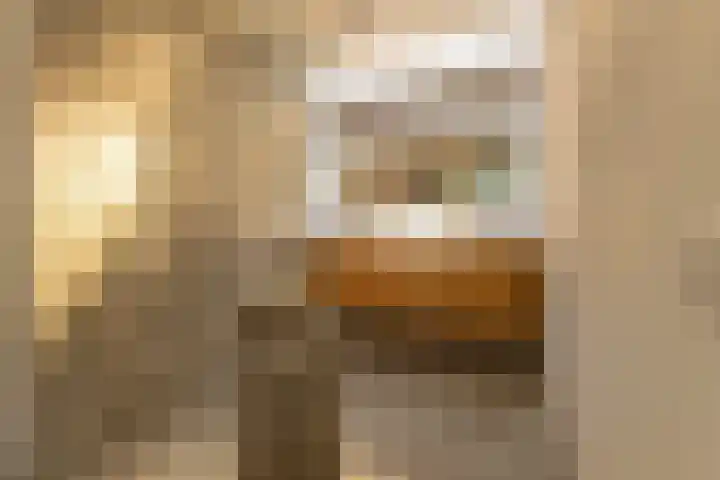 Vondelstraat 14 Breda thumbnail 5