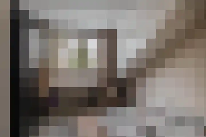 Vondelstraat 14 Nuenen thumbnail 37