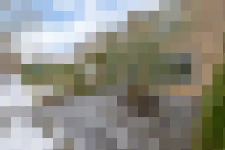 Vondelstraat 14 Nuenen thumbnail 9
