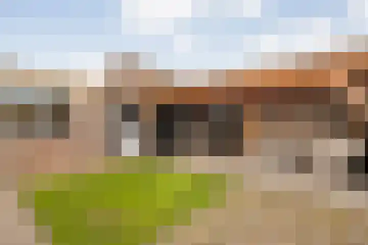 Vondelstraat 14 Tubbergen thumbnail 29