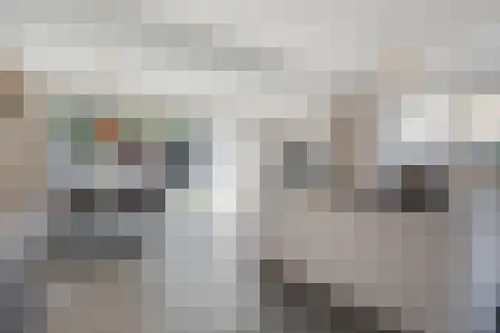 Vondelstraat 14 Veghel thumbnail 10