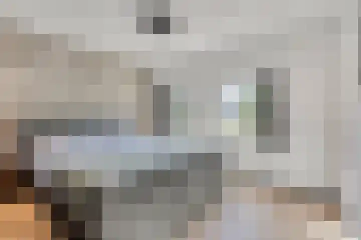 Vondelstraat 14 Veghel thumbnail 23