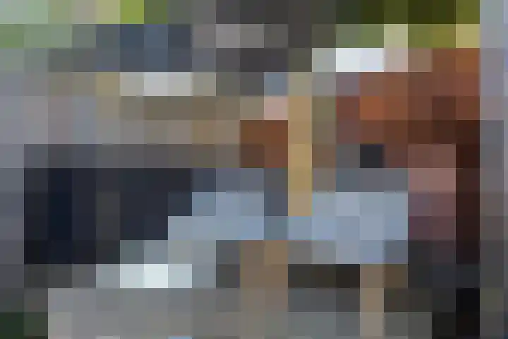 Vondelstraat 14 Veghel thumbnail 31