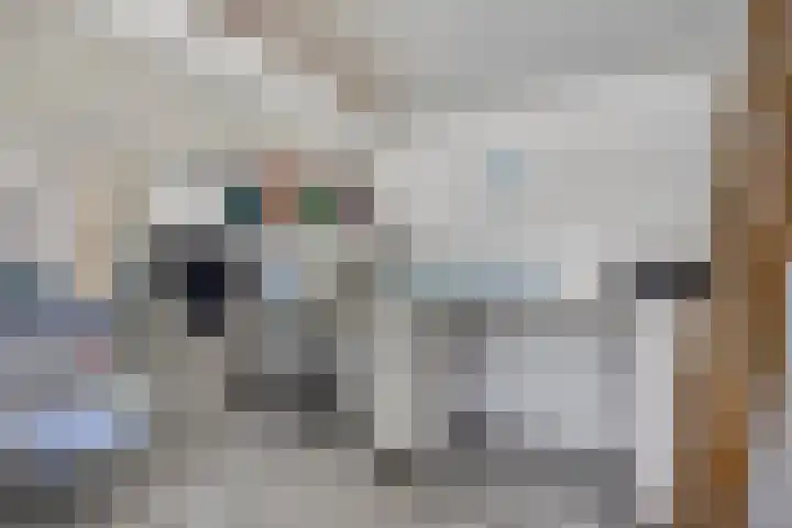 Vondelstraat 14 Veghel thumbnail 32