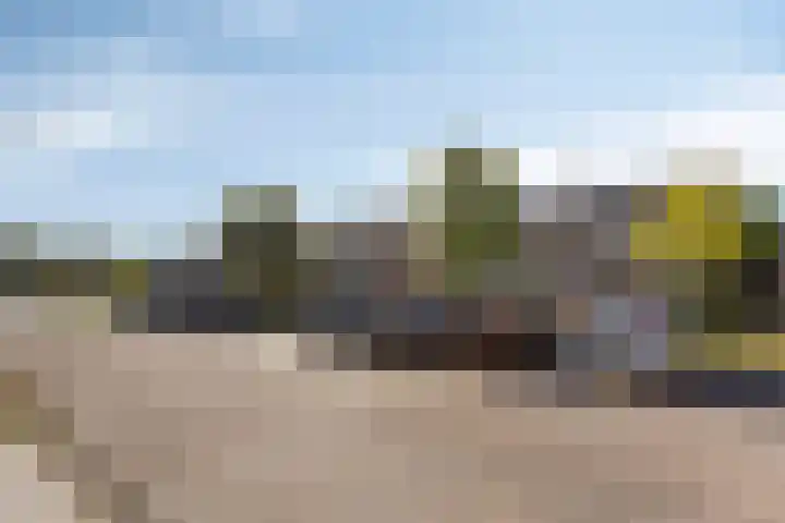 Vondelstraat 14 Veghel thumbnail 33