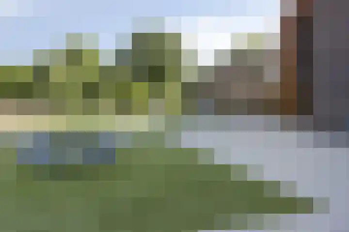 Vondelstraat 14 Veghel thumbnail 34
