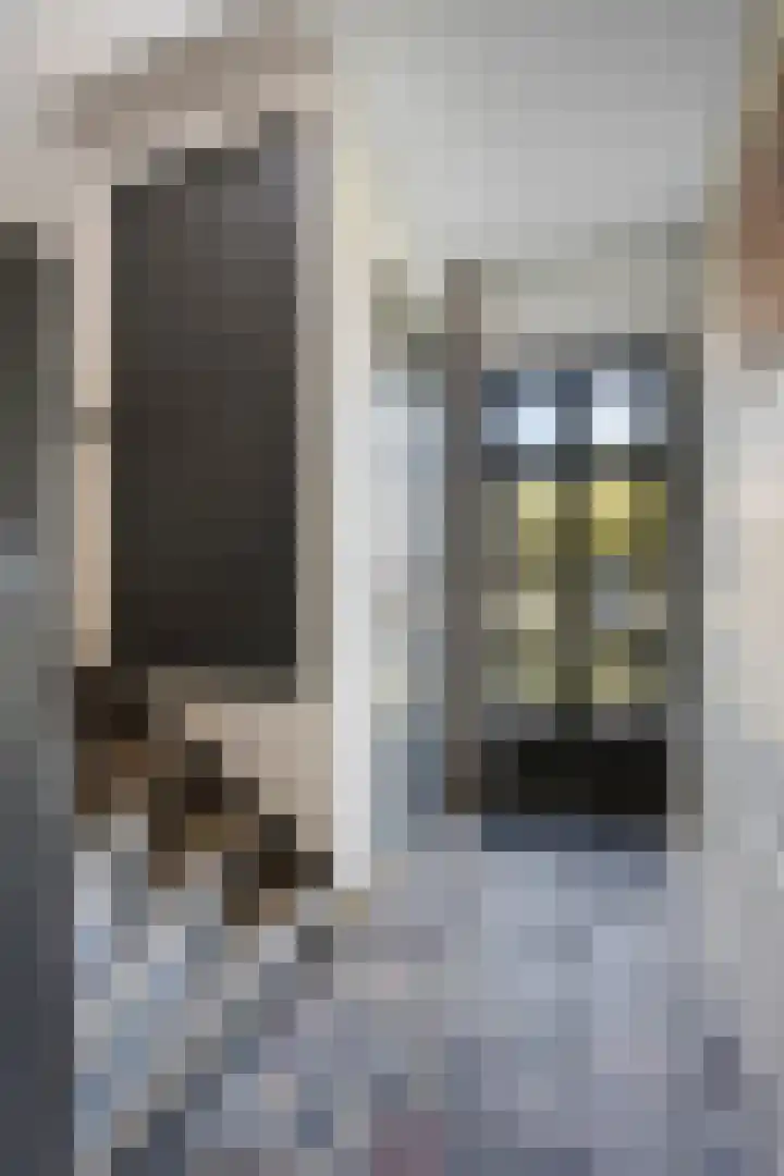 Vondelstraat 14 Veghel thumbnail 7