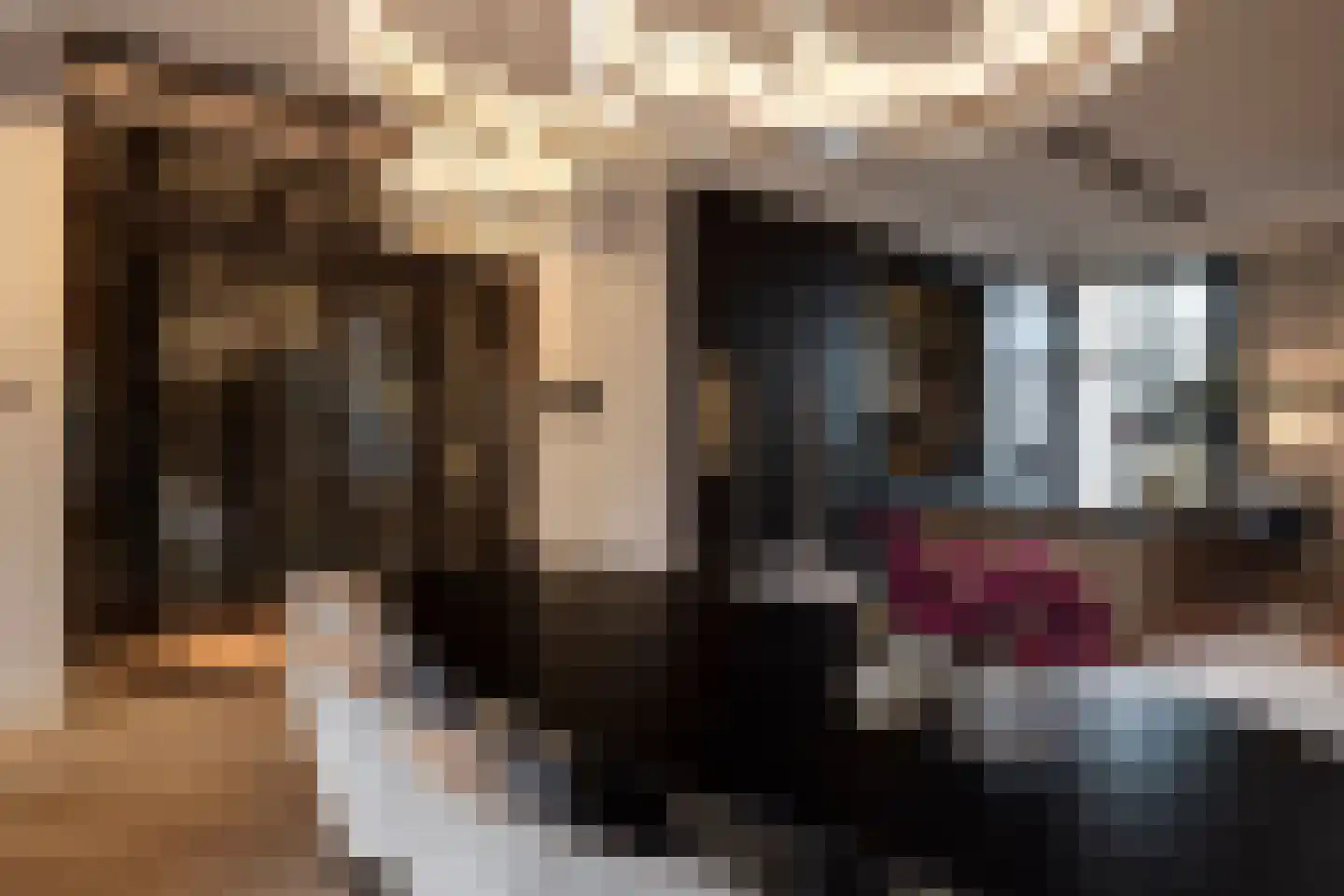 Vondelstraat 15 2 Amsterdam thumbnail 13