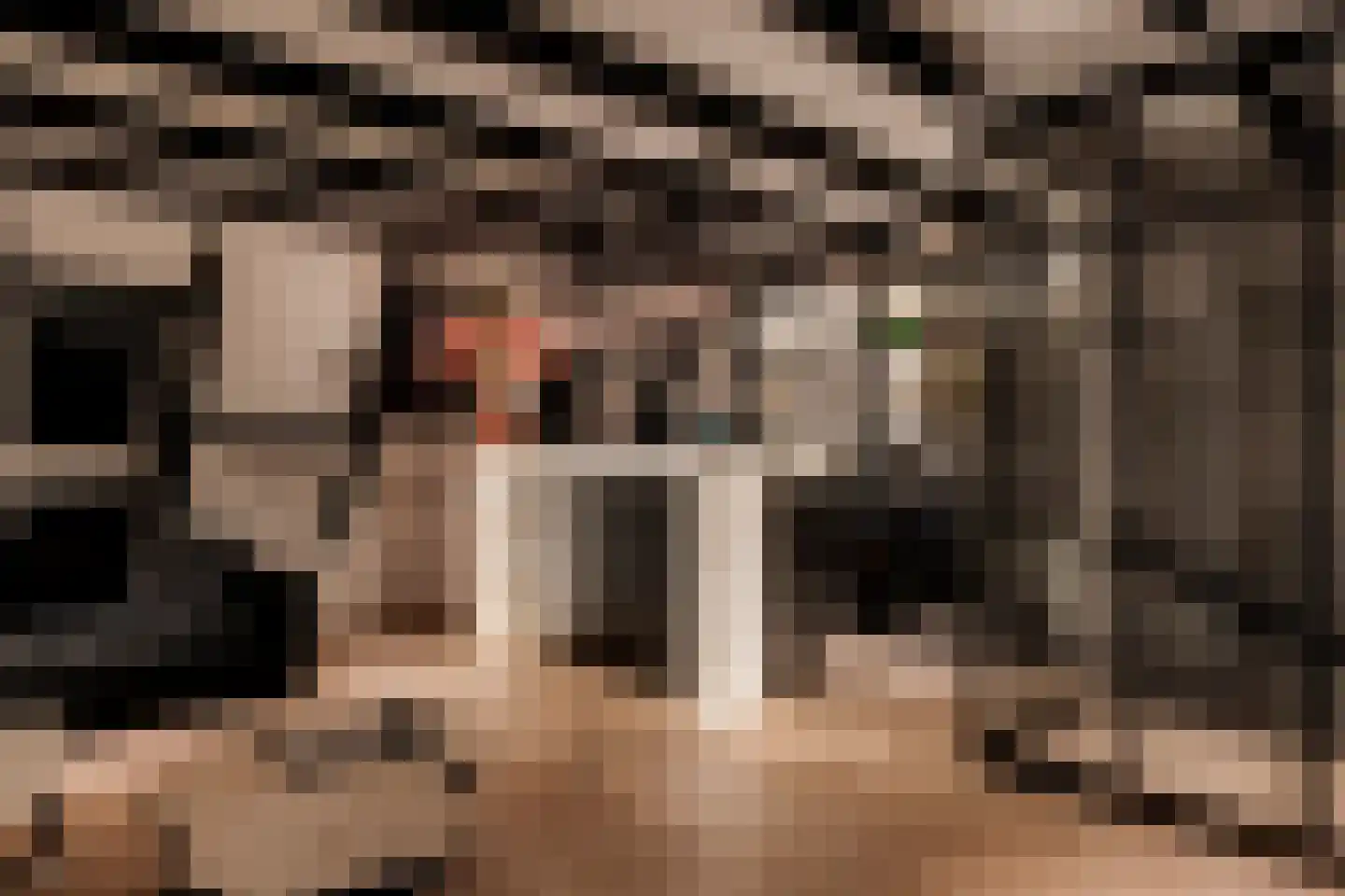 Vondelstraat 15 2 Amsterdam thumbnail 5