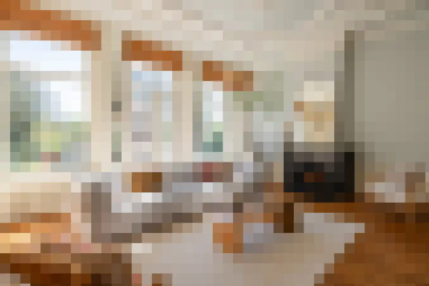 Vondelstraat 150 Amsterdam thumbnail 6