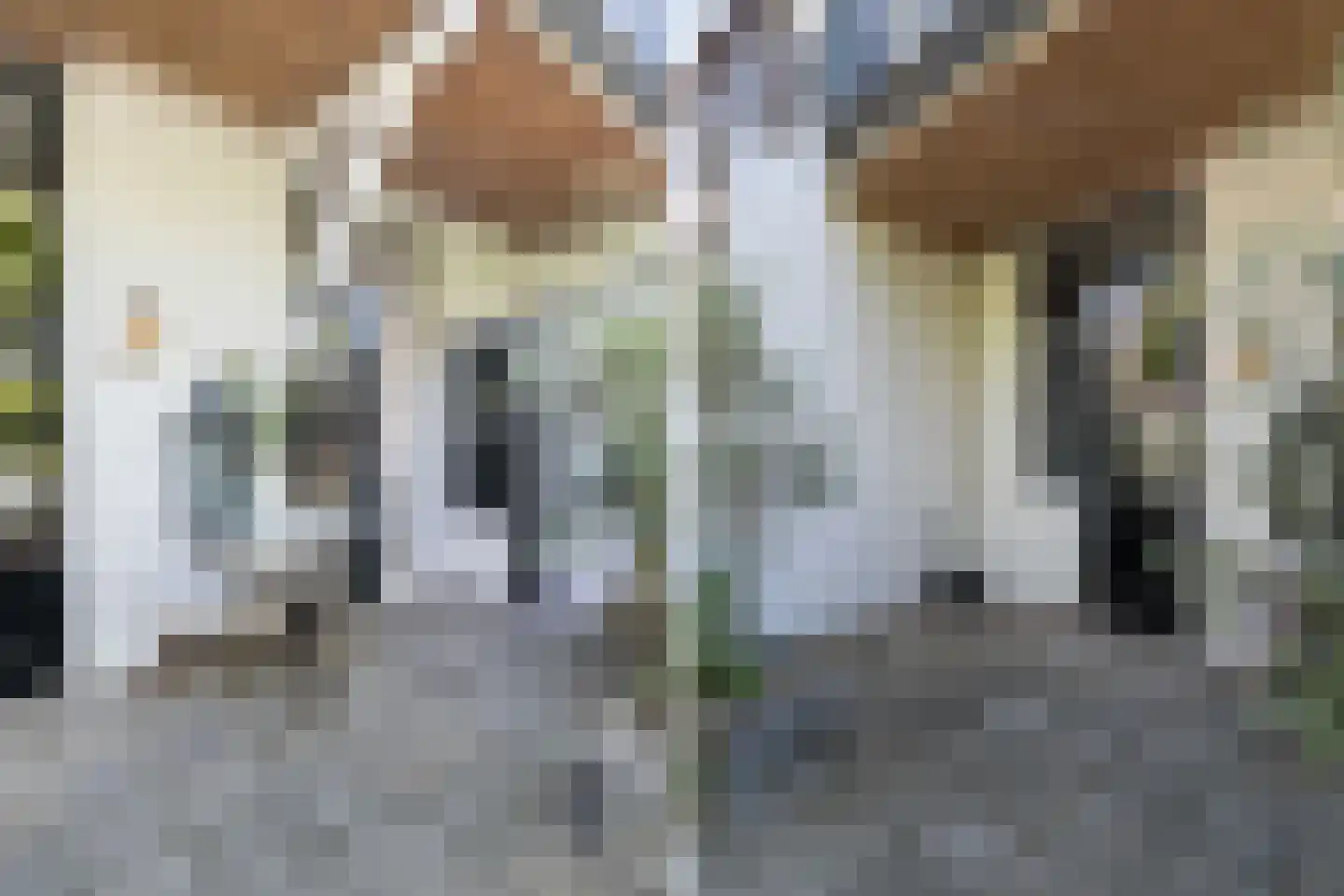 Vondelstraat 153 Dordrecht thumbnail 31