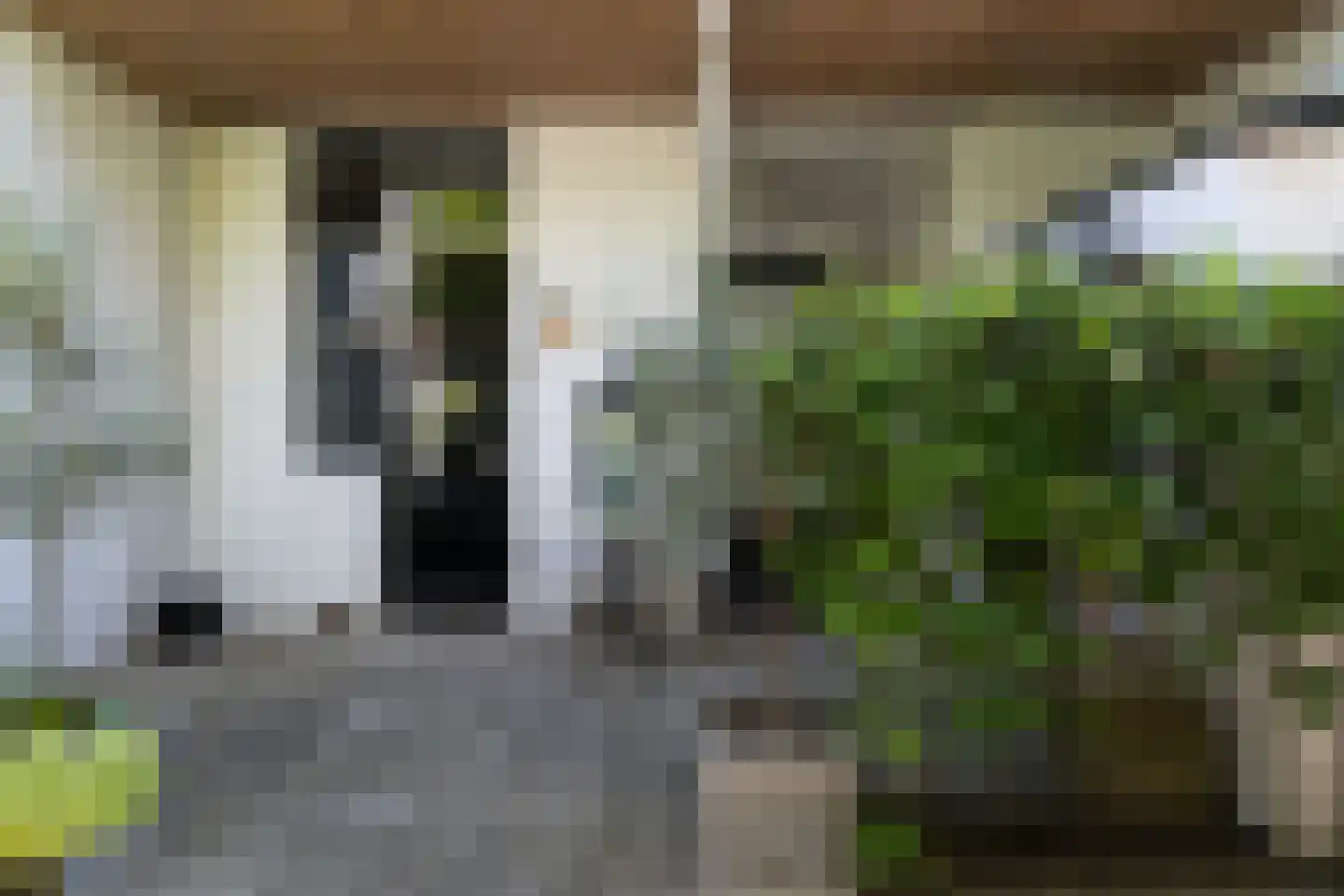 Vondelstraat 153 Dordrecht thumbnail 32