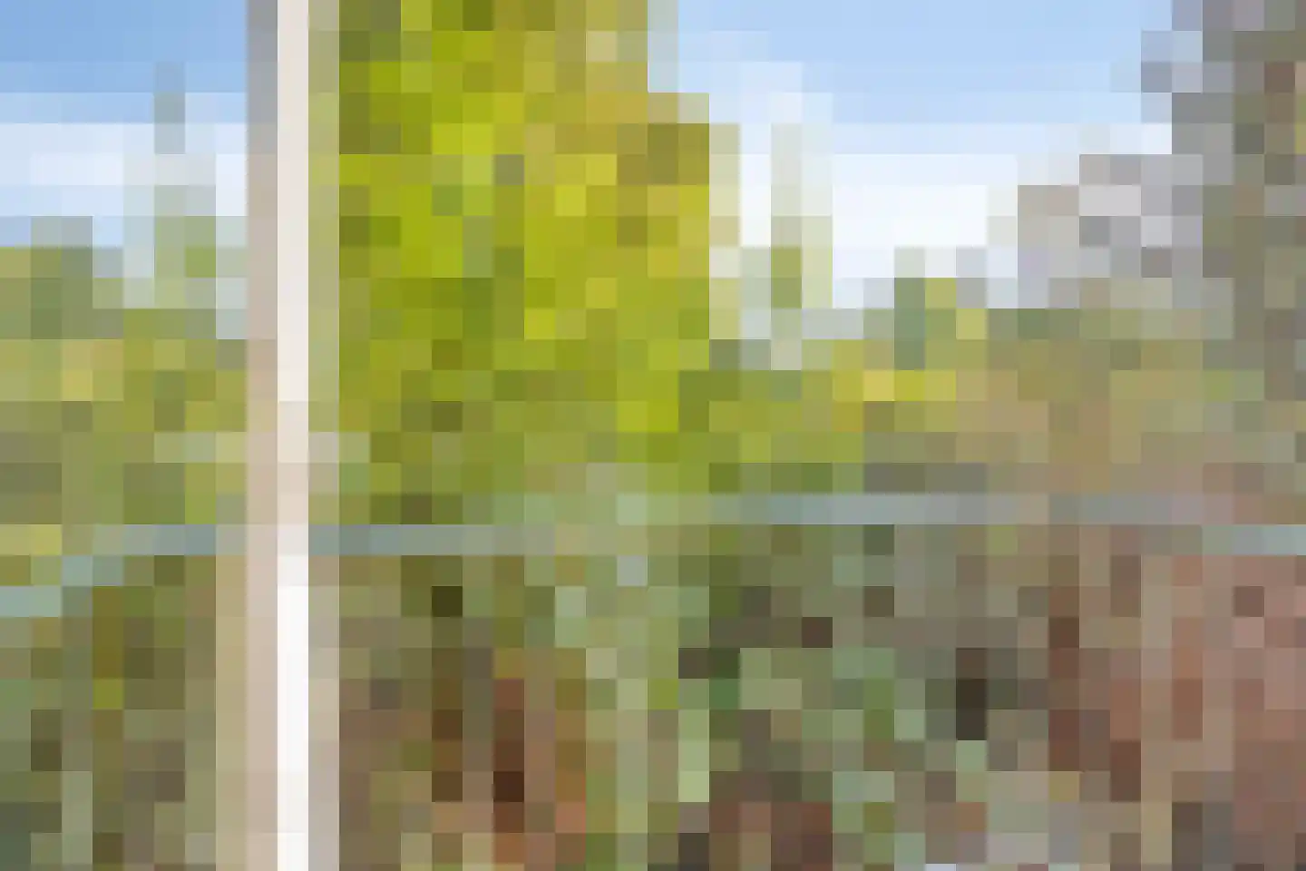 Vondelstraat 154 Doetinchem thumbnail 19