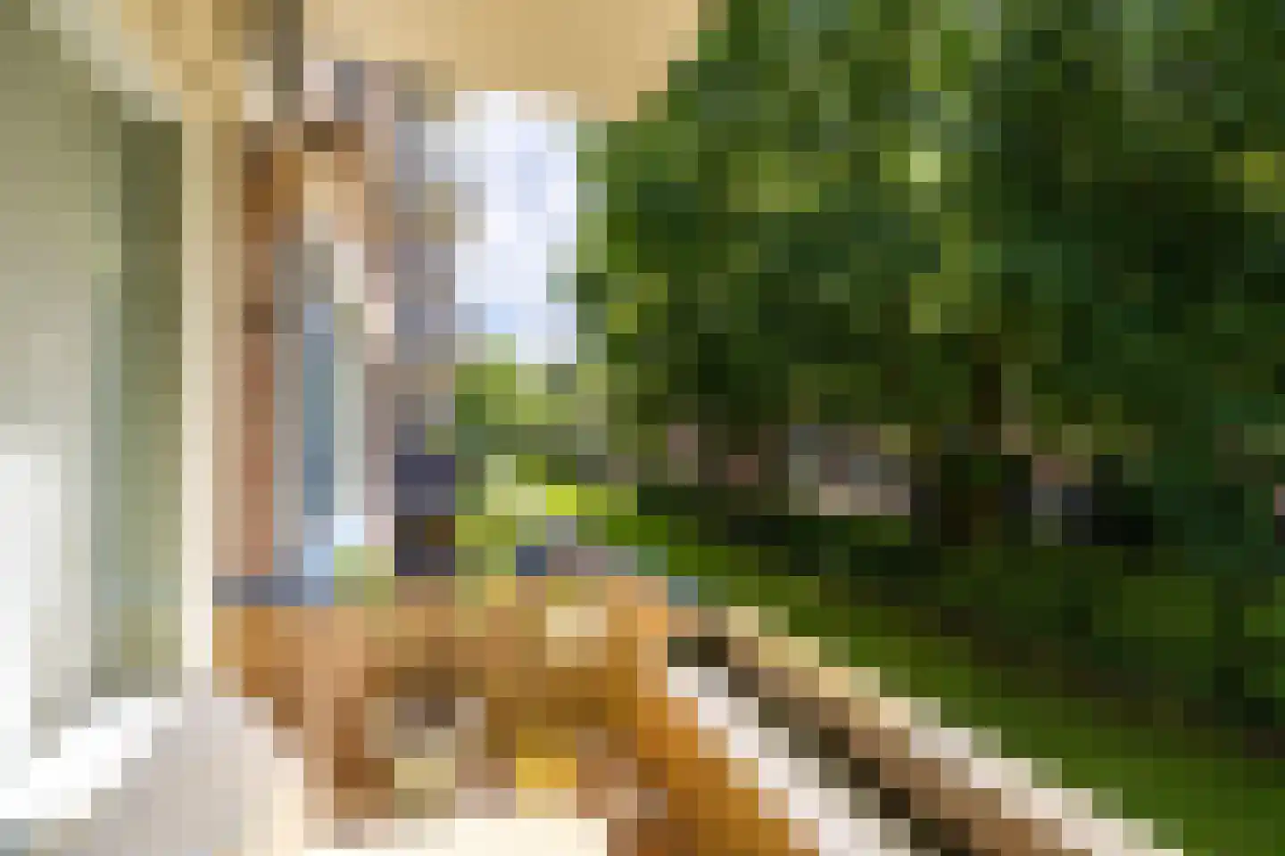 Vondelstraat 16 Doetinchem thumbnail 26