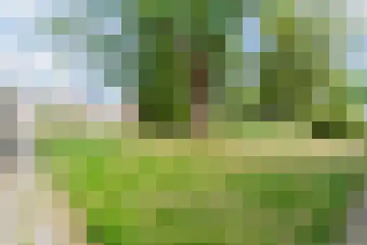 Vondelstraat 16 Nuenen thumbnail 4