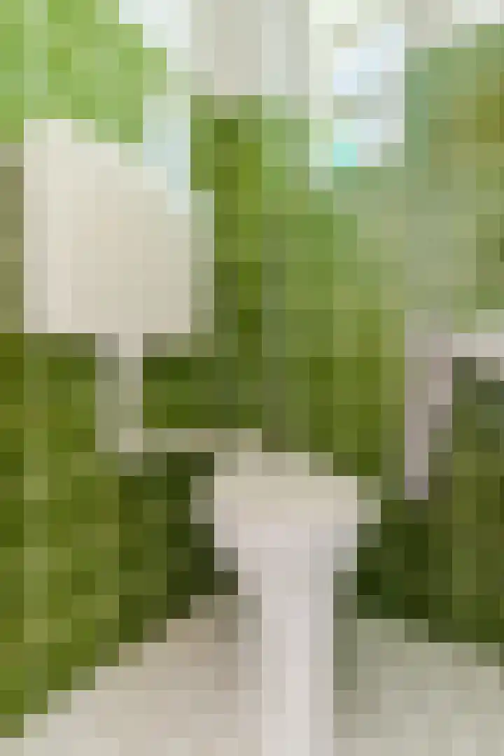 Vondelstraat 16 Nuenen thumbnail 8