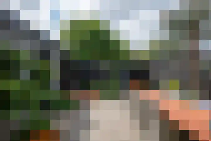 Vondelstraat 16 Putten thumbnail 27