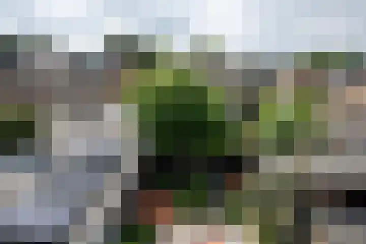 Vondelstraat 16 Putten thumbnail 31