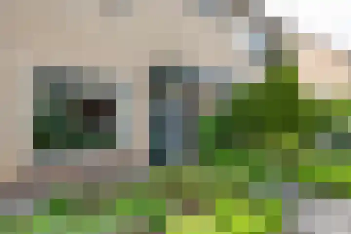 Vondelstraat 16 Putten thumbnail 4