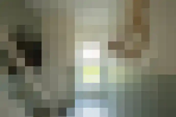 Vondelstraat 16 Putten thumbnail 6