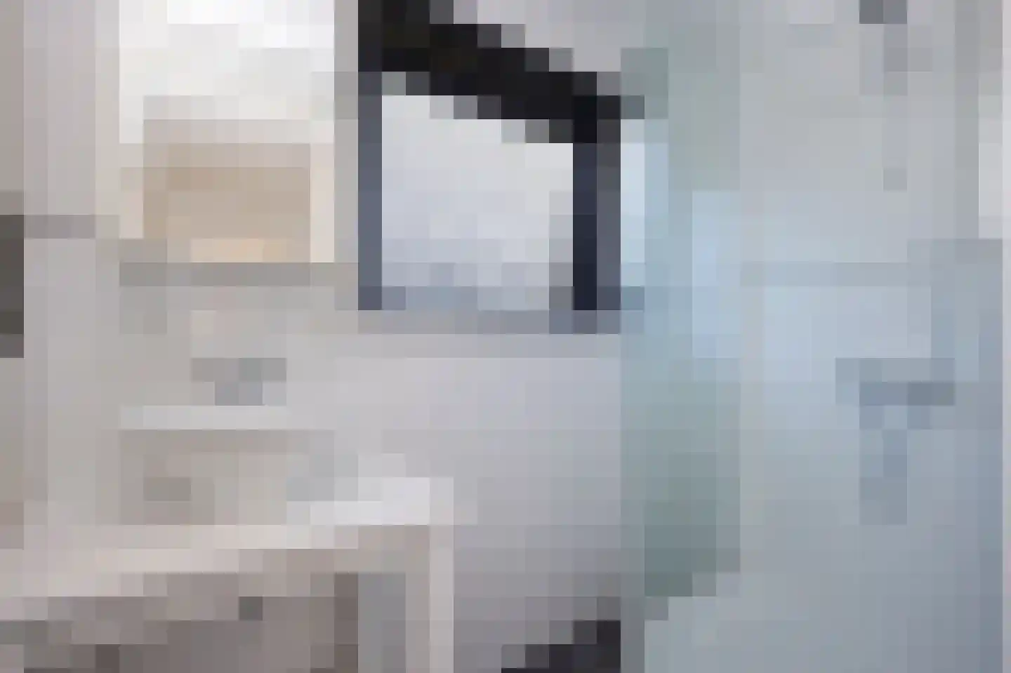 Vondelstraat 16 Terneuzen thumbnail 4