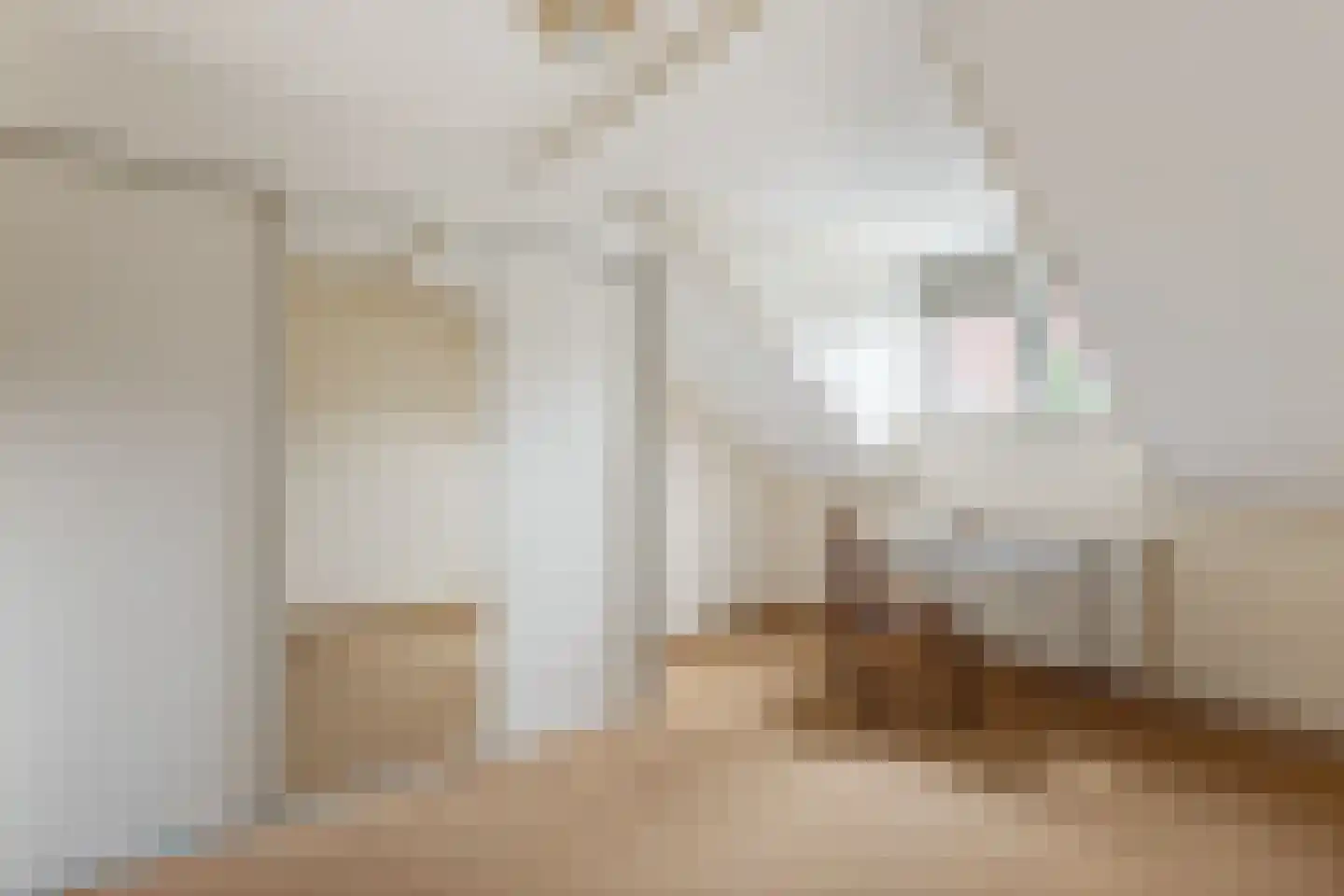 Vondelstraat 16 Tubbergen thumbnail 14