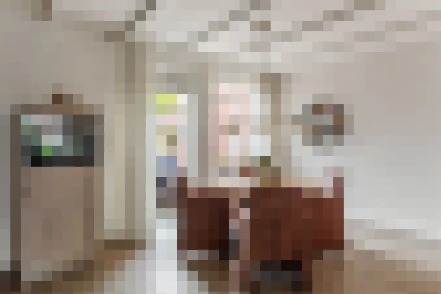 Vondelstraat 16 Tubbergen thumbnail 9