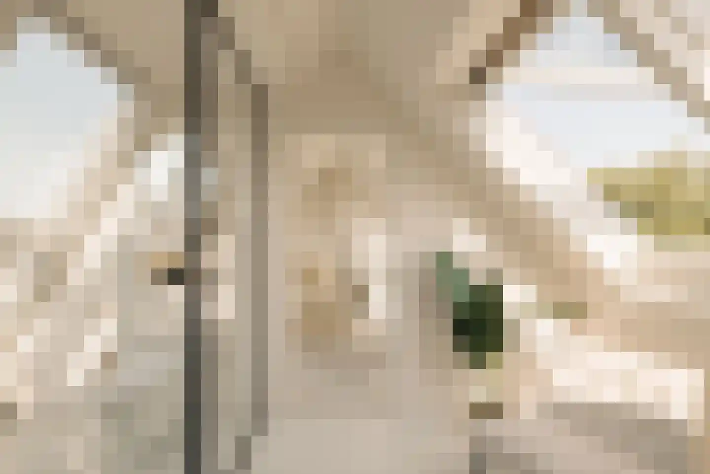 Vondelstraat 170 3 Amsterdam thumbnail 34