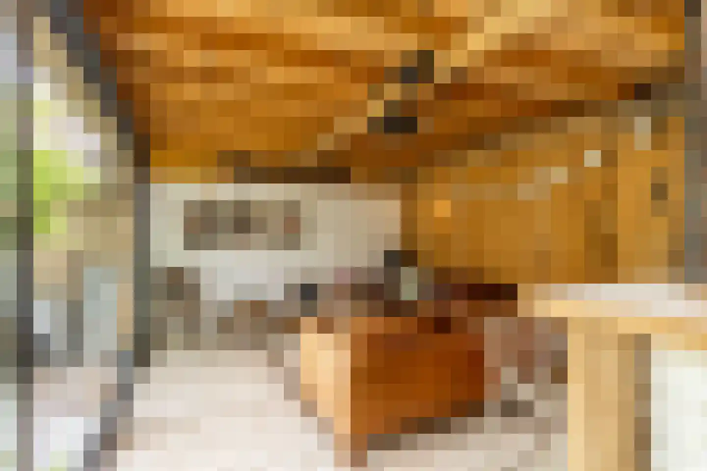 Vondelstraat 18 Bunschoten-Spakenburg thumbnail 47