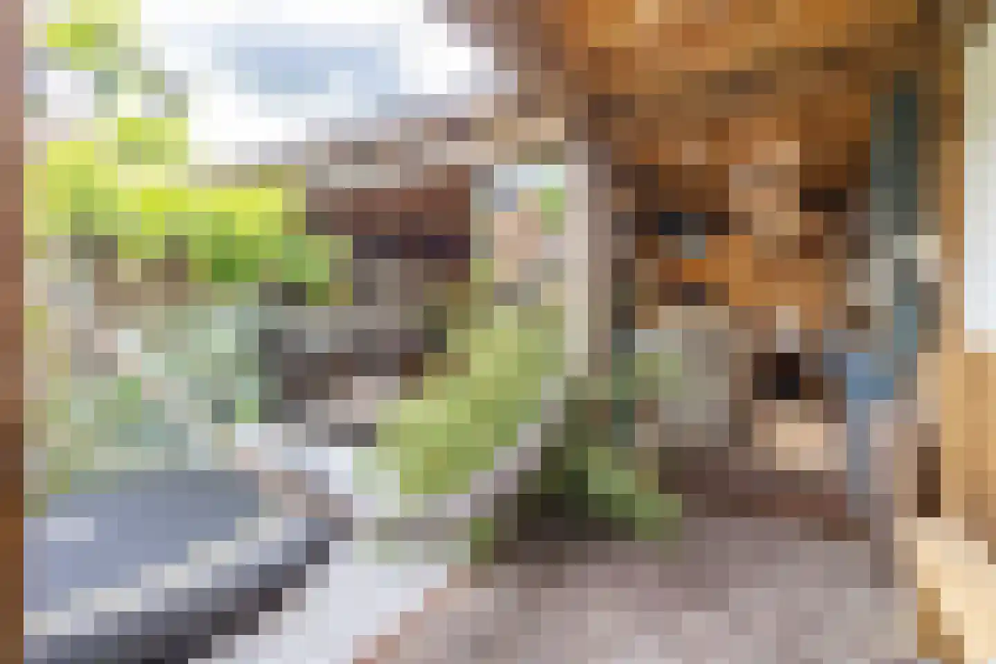 Vondelstraat 18 Bunschoten-Spakenburg thumbnail 48