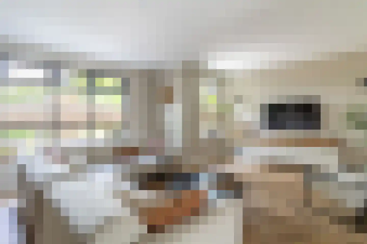 Vondelstraat 18 Bunschoten-Spakenburg thumbnail 5