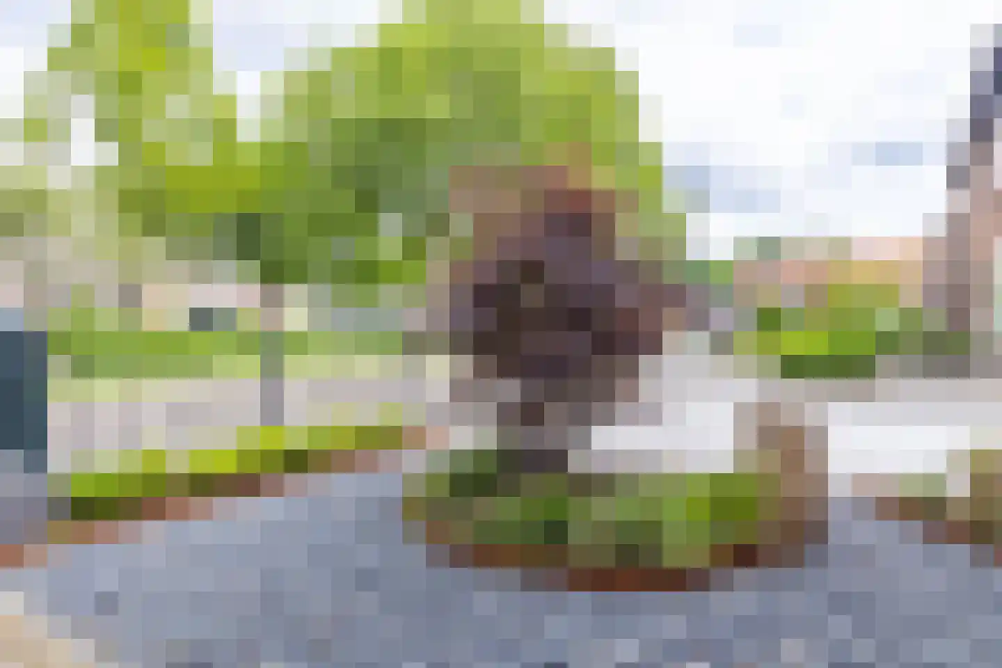 Vondelstraat 18 Bunschoten-Spakenburg thumbnail 56