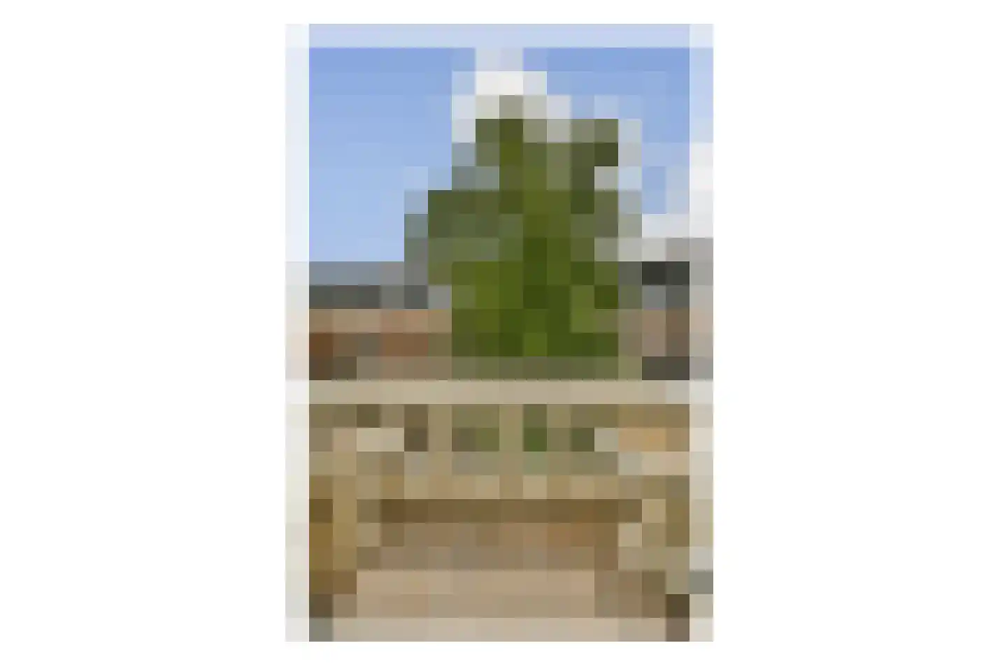 Vondelstraat 184 4 Amsterdam thumbnail 19